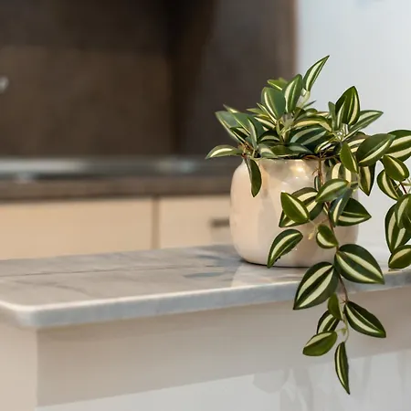 아파트 Marintheo House 드라마